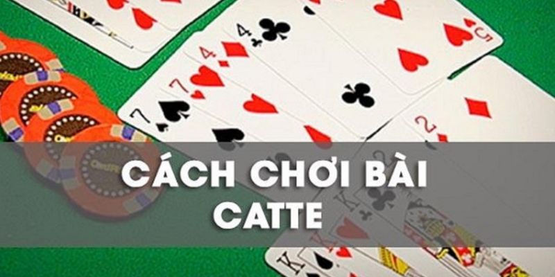 Cách chơi bài Catte bằng Quản Lý Số Dư Thông Thạo